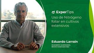 Expertips: Uso de Nitrógeno Foliar en Cultivos Extensivos