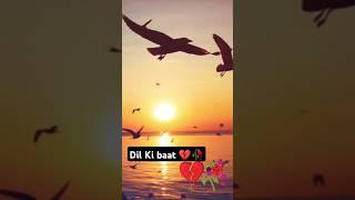 Dil Ki baat#short video yt shorts#ayaan #Ayaan Islamic channel#