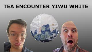 2023 Tea Encounter Yiwu White Tea [Episode 489]