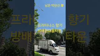 #프라타나스 향기 짙은 서울서초구방배 현대홈타운 단지