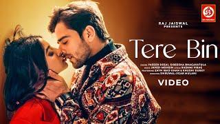 Tere Bin | Zayn Ibad Khan & Khushi Dubey | Javed-Mohsin | Yasser Desai, Sireesha | Rashmi Virag 2025