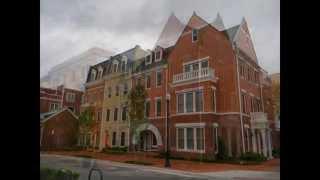 Search The Top Realtors in Northern VA | Virgnia | Fairfax | Alexandria VA |