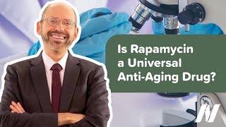 Rapamycin as a Universal Anti-Aging Drug