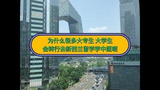 为什么很多大专生、大学生，会转行去新西兰留学学中医呢？