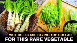 Why Chefs Are Paying Top Dollar for This Rare Vegetable?