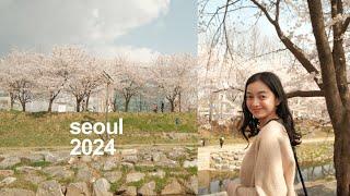 spring in seoul | korea 2024 