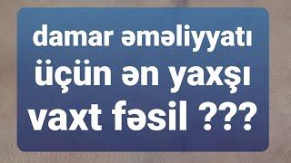 emeliyyat vaxti emeliyyat üçün en yaxsi zaman fesil hansi ay varikoz damar emeliyyati olar fleboloq