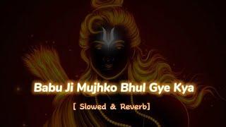 Babu ji Mujko Bhul Gaye Kya - Rama Rama Rat te Rat te bite re umariya - [ Slowed & Reverb] | LOFI 