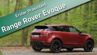 Das kann der "Mini Velar" - Neuer Range Rover Evoque | DINNEBIER TV