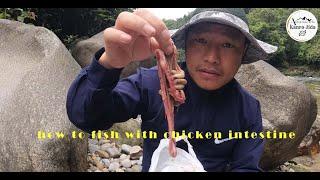 How to Fishing with Chicken Intestine