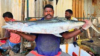 KASIMEDU  SPEED SELVAM | 15 KG BIGG SEER FISH CUTTING VIDEO | IN KASIMEDU | FF CUTTING 