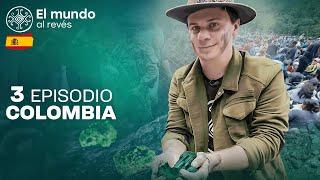 Dmytro Komarov a la caza del tesoro en Colombia: cómo se extraen las esmeraldas más caras del mundo