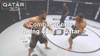 Qatar, a key step for mixed martial arts in the Middle East | Qatar 365