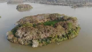 Hebbal Lake - Drone Footage