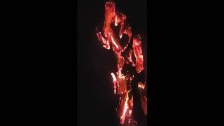 Sacred Fire @ Living Village Festival, 25th June 2018