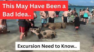 Excursion in Nassau Need to Know- Before You Go (Swimming with the Pigs)