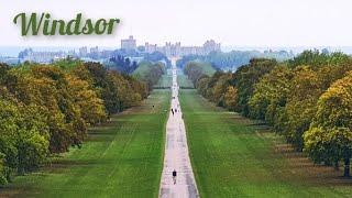 England. Windsor. Long Walk and Deer Park