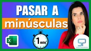 ¡Convierte TEXTO en MINÚSCULAS en Excel en Segundos! 