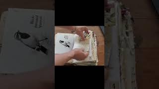 THE DEEP FOREST TOME"JUNK JOURNAL