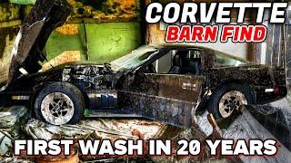 First Wash in 25 Years ABANDONED Barn Find Corvette Disaster Detail! | Satisfying Restoration