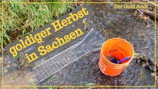 goldiger Herbst in Sachsen | Der Gold Andi | Goldwaschen