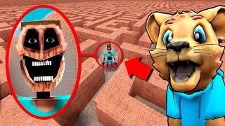 Can MIMICER (Steve) find me in a MAZE?! (Gmod Sandbox)