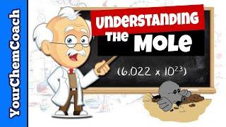 How to Use the MOLE in Chemistry