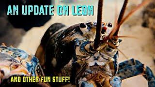 An Update On Leon