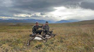 August 2024, DIY hike in Haul Road/Dalton Highway caribou hunt -unit 26.