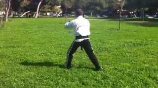 Sifu Avner - Wumei Kung Fu Israel - Dao Form