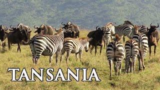 Tansania: Serengeti, Sansibar und Kilimanjaro