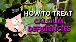 How To Treat Calcium Deficiencies In Plants