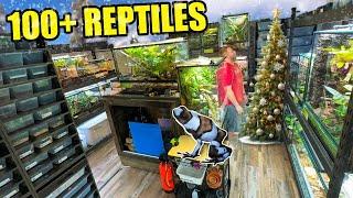 The LAST REPTILE ROOM TOUR of the YEAR!!! December 2023