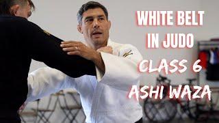 Foot Sweeps For BEGINNERS- Ashi Waza Drills