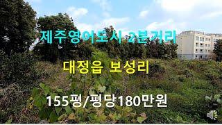 [제주빠빠] 제주영어도시 2분거리 ｜대정읍 보성리 ｜155평 토지매매 ｜ 평당180만원(2억8천) 010-3318-5088