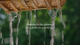 breathe in the Present. — (just a playlist for peaceful days)