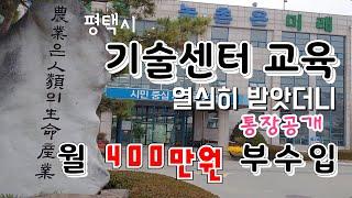 귀농9년차 통장공개 기술센터 교육만 잘 받아도 월400만원이 부수입 생긴다 억대 농부가 되려면 교육이  매우 중요하다