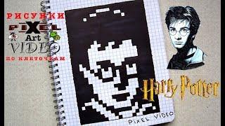 How to draw a Harry Potter #pixelvideo