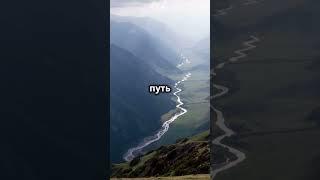 Путь к исцелению #Shorts #truth