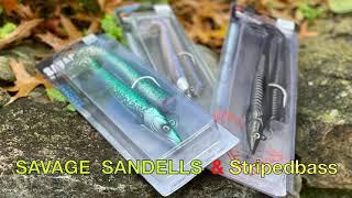 Sandeel striped bass fishing by Savage Gear.  The most versatile soft plastic lure.