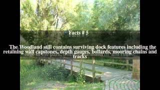 Russia Dock Woodland Top # 10 Facts