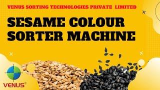 SESAME SEEDS SORTING MACHINE | VENUS RGB GLOBAL PLUS 1 |