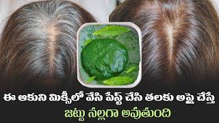 Homemade Natural Hair Dye | Remedy for White Hair to Black Hair | Hair Color |Manthena's Beauty Tips