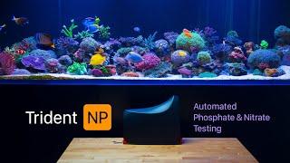 Neptune Trident NP First Look