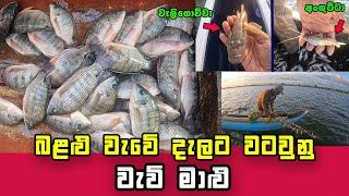 Wow! Sri Lanka's Freshwater Fishing Paradise: Hidden Gems and Exciting Catches