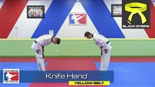 Han Bros Taekwondo Yellow Belt Knife Hand