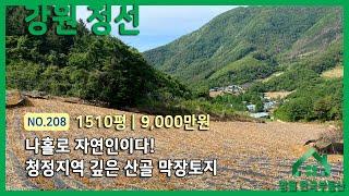 [영월토지]NO.208 골짜기 깊은곳 자연인 토지, 정선 도로끝 막장땅 매매 #귀촌강원도 #영월한국부동산