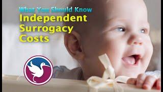 QUICK LOOK: The Cost of an Independent Surrogacy journey