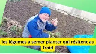 10  mars ua jardin , quel sont les légumes a semer  qui resiste au froid!