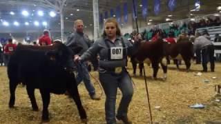 The Royal Winter Fair